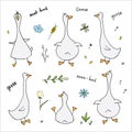 Goose Doodles Set. Cute Geese sketch. Hand drawn Cartoon Vector illustration on white background
