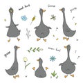 Goose Doodles Set. Cute Geese sketch. Hand drawn Cartoon Vector illustration on white background