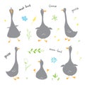 Goose Doodles Set. Cute Geese sketch. Hand drawn Cartoon Vector illustration on white background Royalty Free Stock Photo