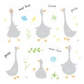 Goose Doodles Set. Cute Geese sketch. Hand drawn Cartoon Vector illustration on white background