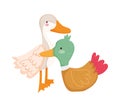 Goose and duck birds farm animal cartoon