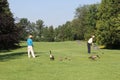 Goose Family and People Playing Golf