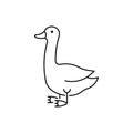 Goose farm animal linear icon Royalty Free Stock Photo