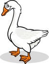 Goose farm bird animal cartoon illustration