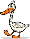 Goose farm bird cartoon illustration