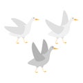 Goose flat illustration. Illustration of a goose on white background.