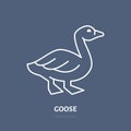 Goose flat line icon. Bird sign, illustration of duck. Thin linear logo for farm store