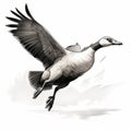 Goose In Flight: Hyper-detailed Sketch By Travis Charest