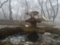 Goose fountain Royalty Free Stock Photo