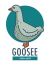Goose fresh meat commercial logotype with domestic bird