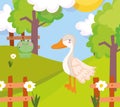 Goose and frog grass flowers fence trees farm animal cartoon Royalty Free Stock Photo