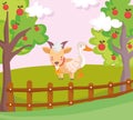 Goose and goat wooden fence fruits trees farm animal cartoon