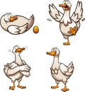 Cartoon goose with golden egg with different poses and emotions Royalty Free Stock Photo