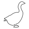 Goose Gosling Geese Anser Gander contour outline black color vector illustration flat style image