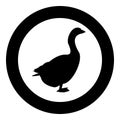 Goose Gosling Geese Anser Gander silhouette in circle round black color vector illustration solid outline style image Royalty Free Stock Photo