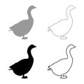 Goose Gosling Geese Anser Gander silhouette grey black color vector illustration solid outline style image Royalty Free Stock Photo