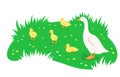 Goose and goslings in green meadow cartoon banner