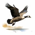 Canada Goose Flyaway Vector - Realistic Portrayal Of Light And Shadow