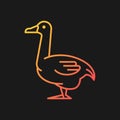 Goose gradient vector icon for dark theme Royalty Free Stock Photo