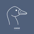 Goose head flat line icon. Bird sign, illustration of duck. Thin linear logo for farm store