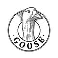 Goose head. Vintage vector engraving illustration