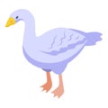 Goose icon isometric vector. Duck food