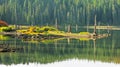 Water Reflections - Goose Lake - Wa - Gifford Pinchot National Forest Royalty Free Stock Photo