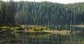 Goose Lake - Wa - Gifford Pinchot National Forest Royalty Free Stock Photo