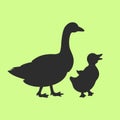 Goose mother with small baby bird, vector silhouette