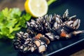 Goose Neck Barnacle. Leaf Barnacle. Percebes. Delicious seafood from Galician coast