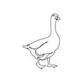 Goose one line art. Continuous line drawing of poultry, domestic animal.