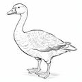 Goose Outline Coloring Page: Realistic Renderings In Black And White