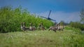 Goose On Pasture With A Nutural Lake View