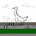 Detailed Character Illustration Of A Goose On Ground