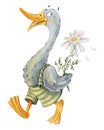 Goose in shorts with a flower