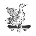 Goose on skateboard sketch vector illustration