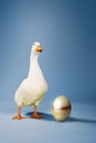 Goose Standing By Golden Egg Royalty Free Stock Photo