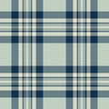 Goose texture textile plaid, filigree fabric check vector. Beautiful pattern tartan background seamless in white and cyan colors