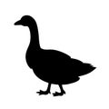 Goose vector icon