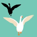 Goose vector illustration flat style black silhouette Royalty Free Stock Photo