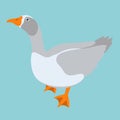 Goose vector illustration flat style profile side Royalty Free Stock Photo