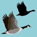 Goose vector illustration flat style profile side Royalty Free Stock Photo