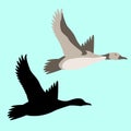 Goose vector illustration flat style black silhouette Royalty Free Stock Photo