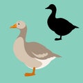 Goose vector illustration flat style silhouette black profile Royalty Free Stock Photo