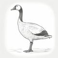 Detailed Goose Illustration In Gongbi Style