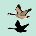 Goose vector illustration style flat black silhouette Royalty Free Stock Photo