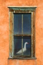 Goose in Window