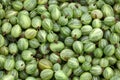 Gooseberries Royalty Free Stock Photo