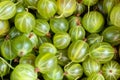 gooseberries in a basket on a wooden background Royalty Free Stock Photo