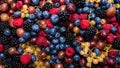 Gooseberries, blueberries, mulberry, raspberries, white and red currants Royalty Free Stock Photo
